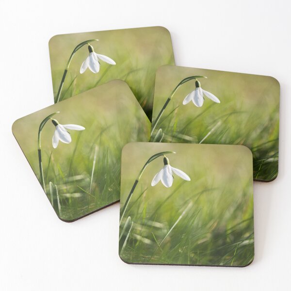 Item preview, Snow drop in winter sunlight designed and sold by stevieuk.