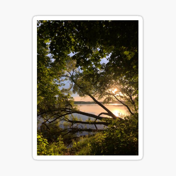 Lake sunset Sticker