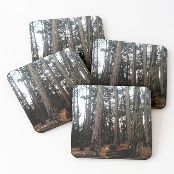 Item preview, Ooty Hill Station Trees In Tamil Nadu India designed and sold by fahadabu.