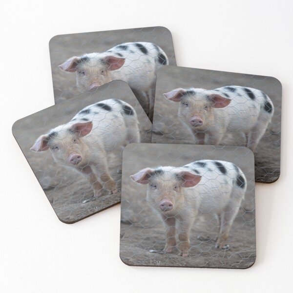 Item preview, Blackspot Piglet Looking Out designed and sold by Rebecca Woods.