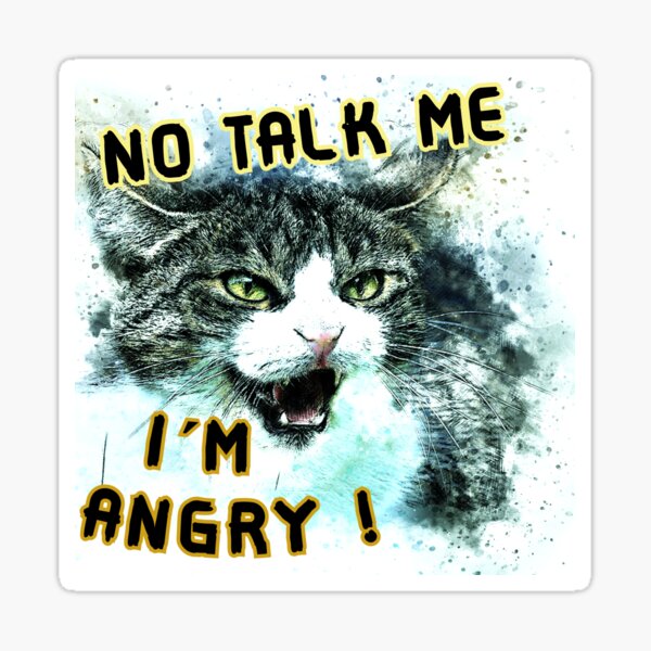 No talk me I'm Angy Sticker