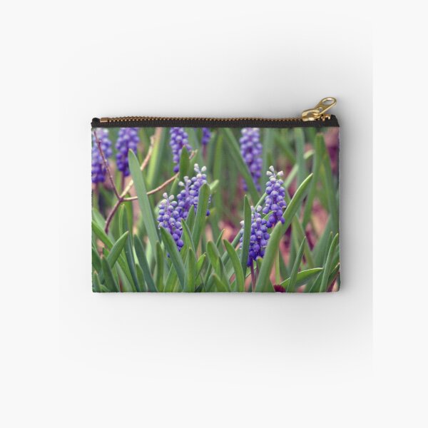 Item preview, Grape hyacinth designed and sold by JudiLyn.