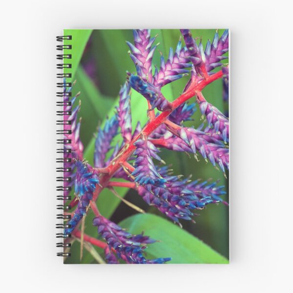 Item preview, Longwood Gardens - Spring Series 73 designed and sold by sarahshanely.