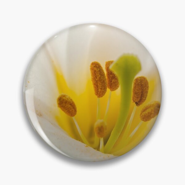 Item preview, White lily designed and sold by Esther  Moliné.