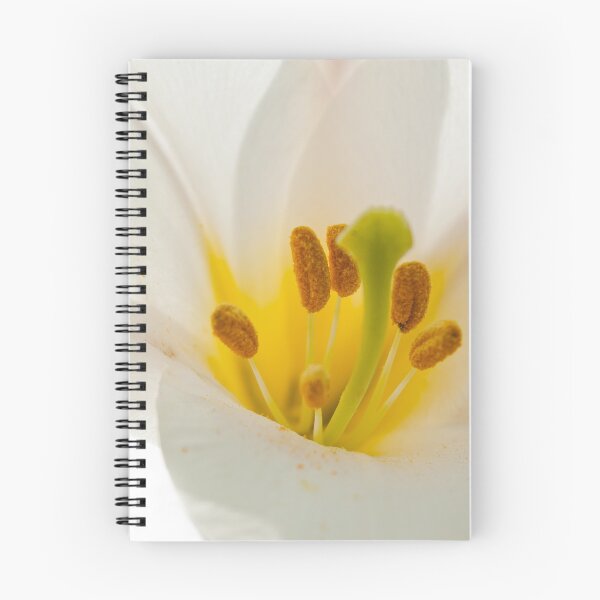 Item preview, White lily designed and sold by Esther  Moliné.
