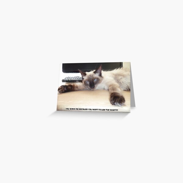 You Woke Me  Because You Want To Use The What? Greeting Card