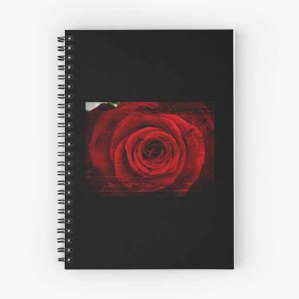 Artikelvorschau, Rote Rose entworfen und verkauft von JackieFineArt.