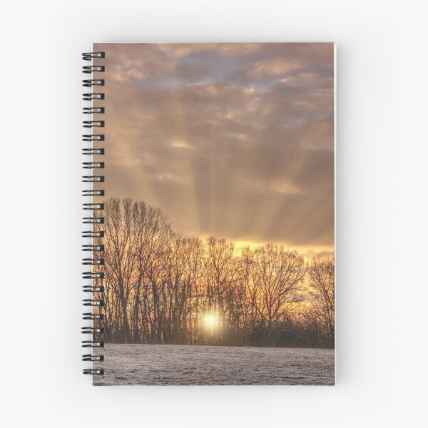 Item preview, Rays of hope designed and sold by habilephoto.