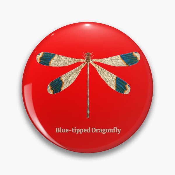 Item preview, Blue-tipped Dragonfly designed and sold by artistoutfitter.
