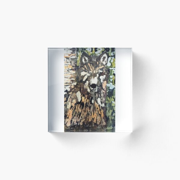 Haliburton Wolf Number 2 Acrylic Block