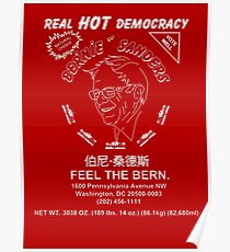 Bernie Poster