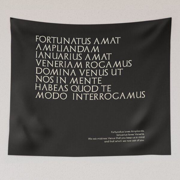 Item preview, Graffiti of Pompeii - FORTUNATUS AMAT AMPLIANDAM... designed and sold by MetaPhyStore.