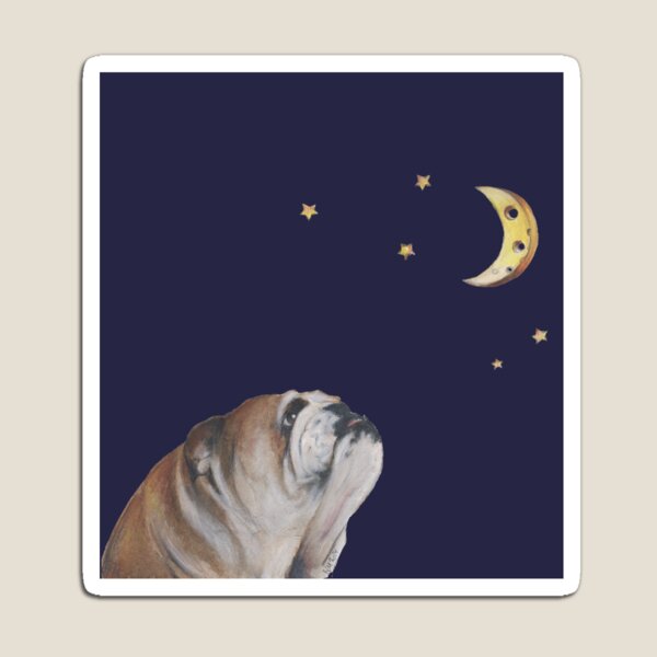 Bulldog and the Moon Magnet