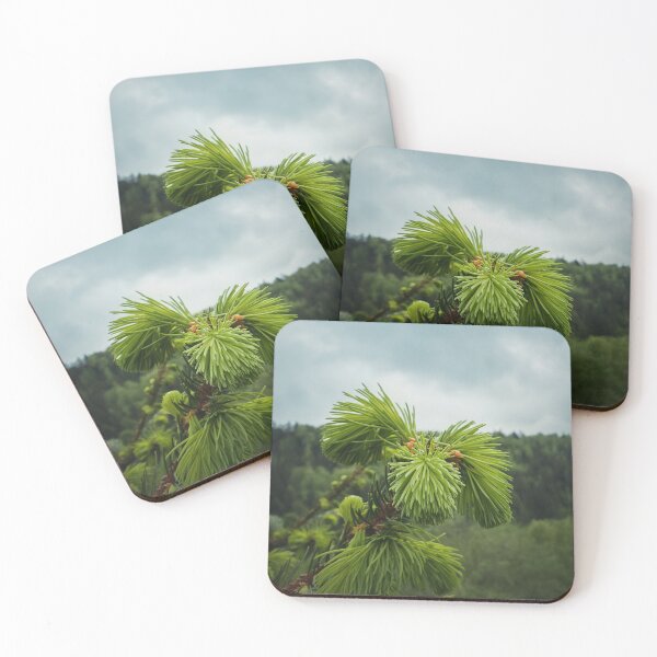 Item preview, Young fir sprouts designed and sold by psychoshadow.