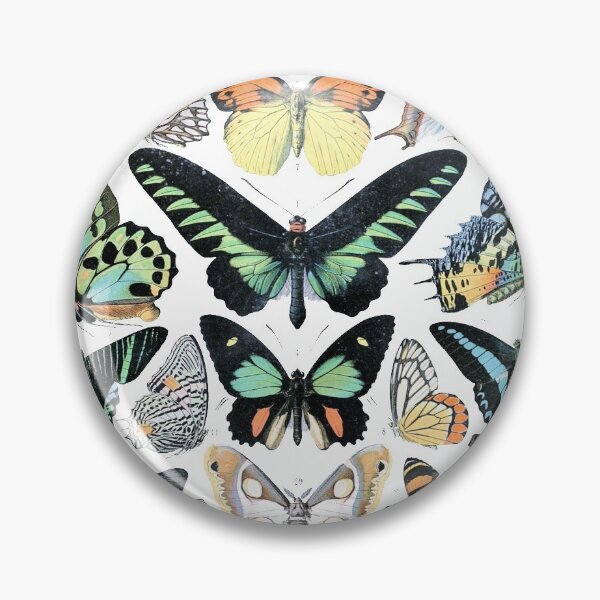 Item preview, Butterfly Species Vintage Poster designed and sold by Slydell1.