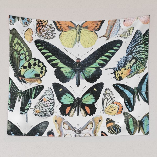 Item preview, Butterfly Species Vintage Poster designed and sold by Slydell1.
