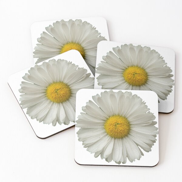 Item preview, White daisy designed and sold by Nicomaja.