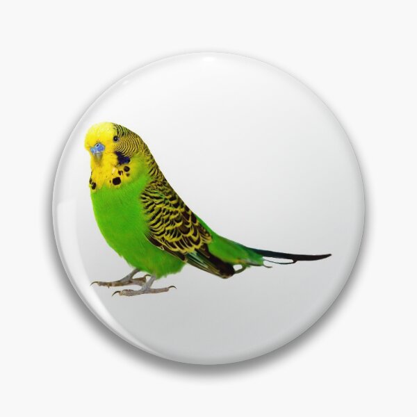Item preview, Cute Budgie! designed and sold by DoodleDashCollective.