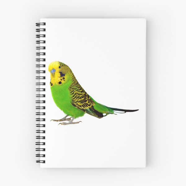 Item preview, Cute Budgie! designed and sold by DoodleDashCollective.