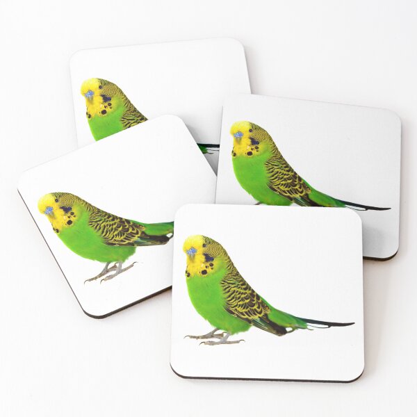 Item preview, Cute Budgie! designed and sold by DoodleDashCollective.