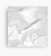 White Folds Canvas Print