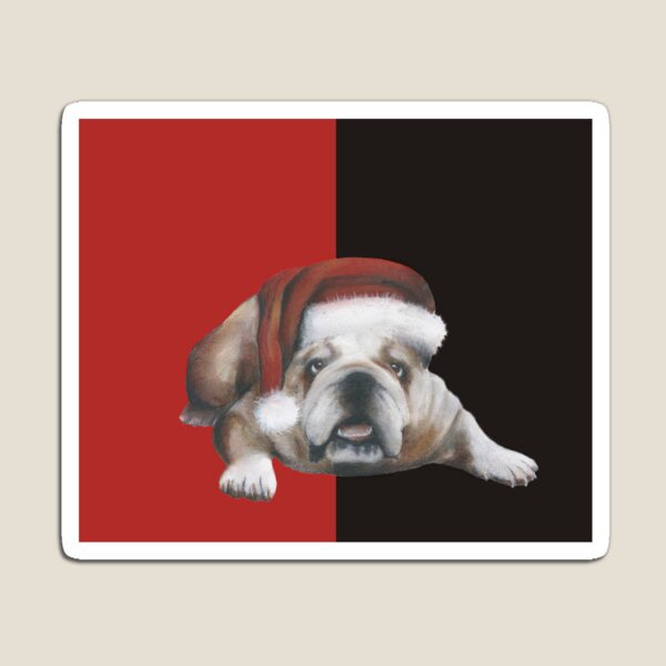 English bulldog at Christmas Magnet