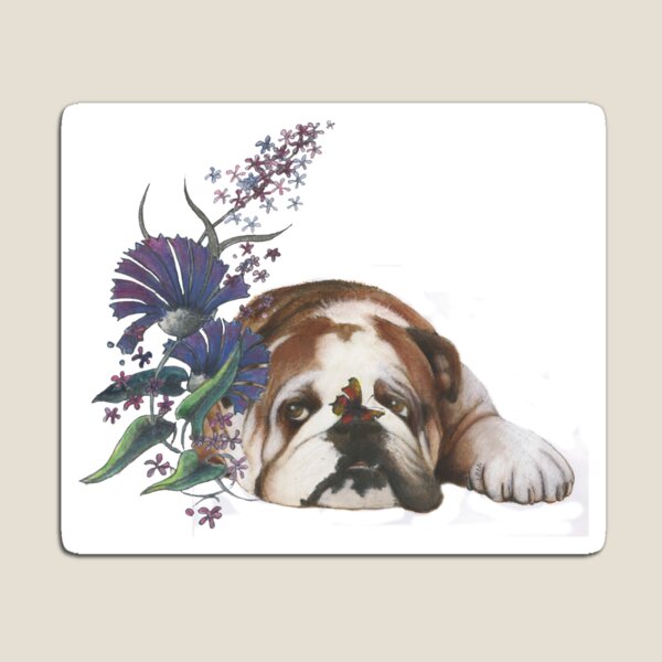 Bulldog Magnet