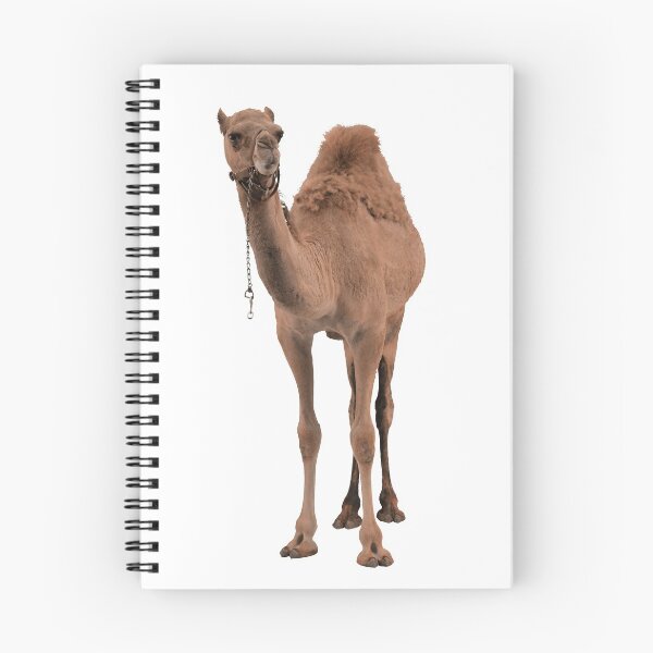 Item preview, Camel designed and sold by DoodleDashCollective.