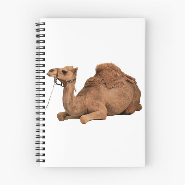 Item preview, Camel designed and sold by DoodleDashCollective.