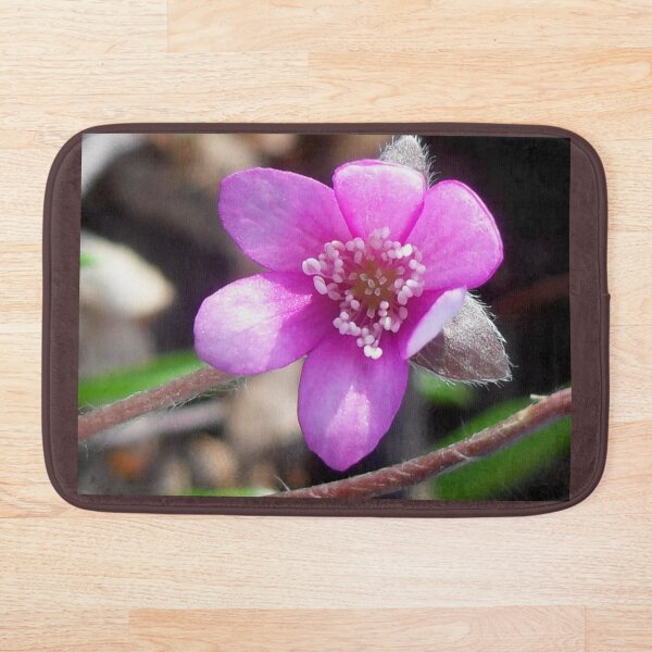 First Hepatica of the season Bath Mat