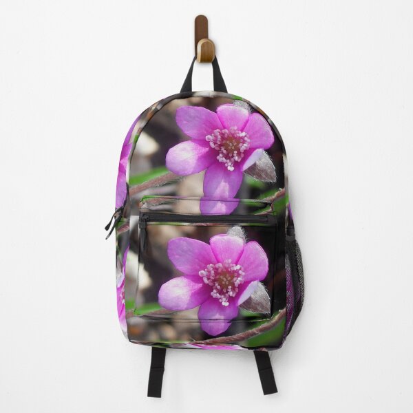Item preview, First Hepatica of the season designed and sold by angel1.