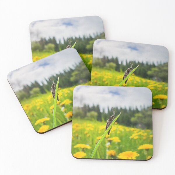 Item preview, beetle in the dandelion field designed and sold by psychoshadow.