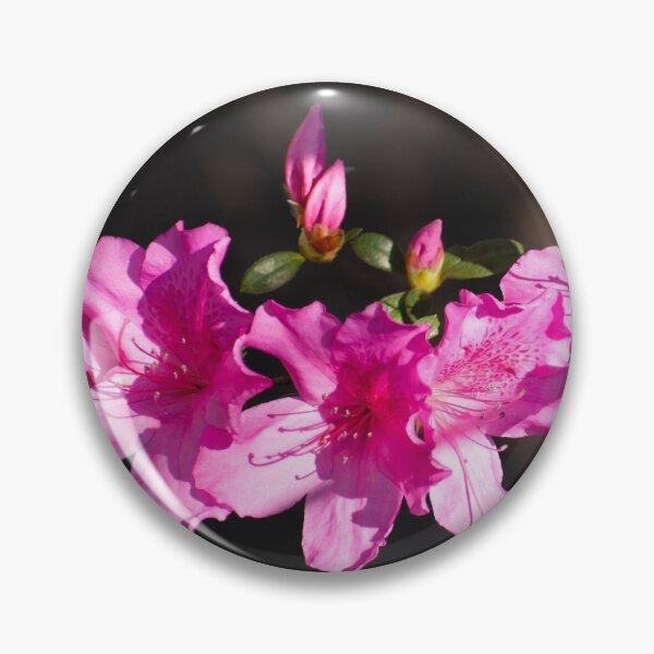 Artikelvorschau, Rosa Rhododendren entworfen und verkauft von Zina Stromberg.