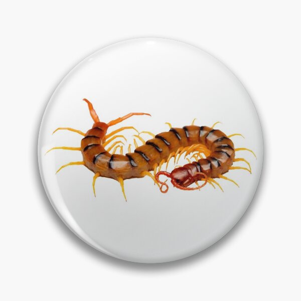 Item preview, Centipede designed and sold by DoodleDashCollective.