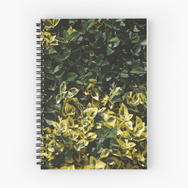 Aperçu de l'œuvre Feuillage vert et jaune créée et vendue par elixandre.