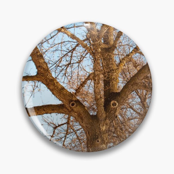 Item preview, Elm Whistling a Tune designed and sold by stephenralph.