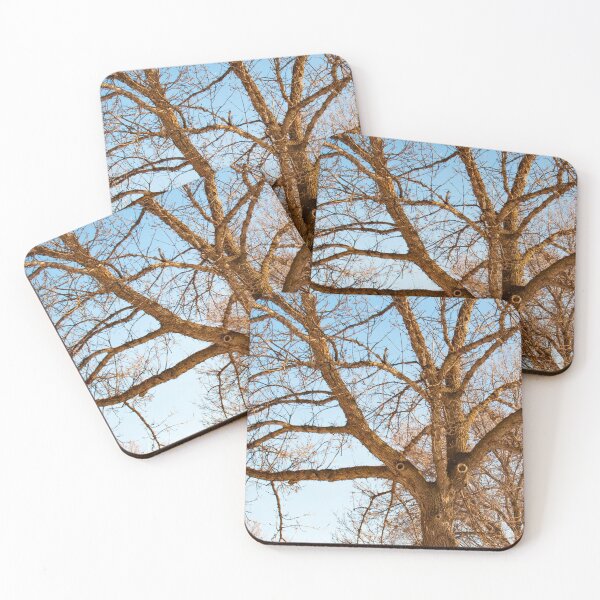Item preview, Elm Whistling a Tune designed and sold by stephenralph.