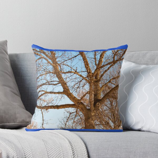 Item preview, Elm Whistling a Tune designed and sold by stephenralph.