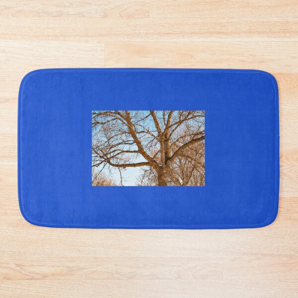 Item preview, Elm Whistling a Tune designed and sold by stephenralph.