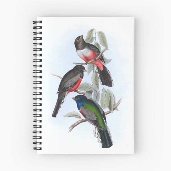 Item preview, Purple-breasted Trogon designed and sold by joburgfreddy.