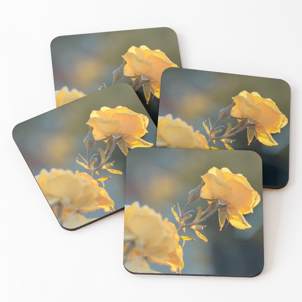 Item preview, Coasters (Set of 4) designed and sold by elixandre.