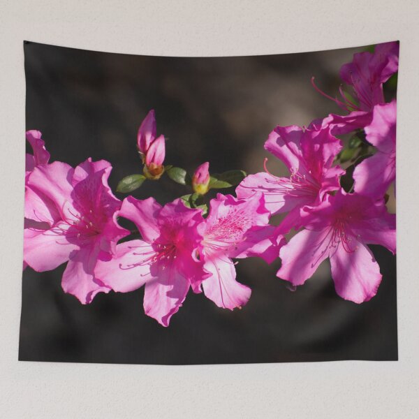 Item preview, Pink rhododendrons designed and sold by Zina Stromberg.