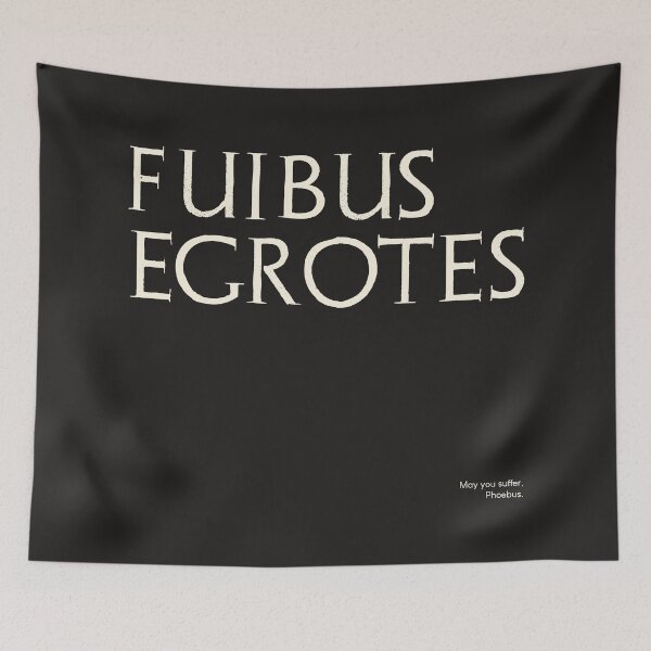 Item preview, Graffiti of Pompeii - FUIBUS EGROTES designed and sold by MetaPhyStore.