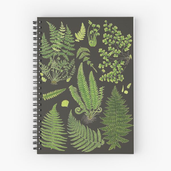 Item preview, Fern Chart study designed and sold by LeAllureVintage.
