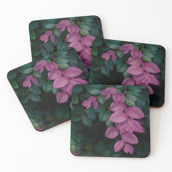 Item preview, Gorgeous Purple Foliage Loropetalum Chinense designed and sold by elixandre.