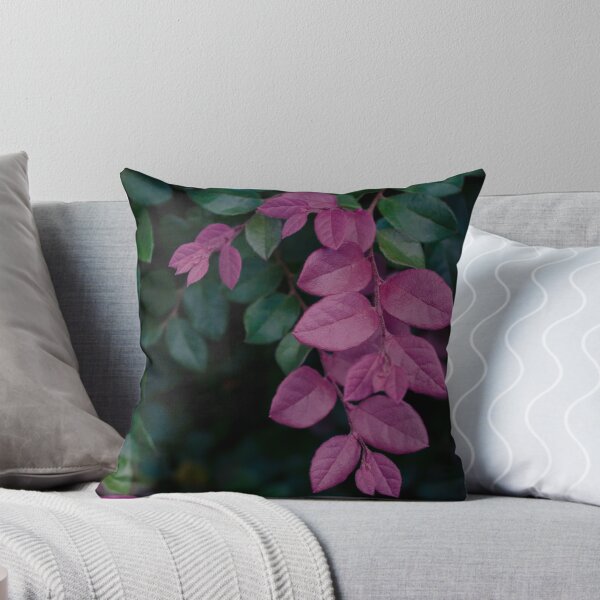 Item preview, Gorgeous Purple Foliage Loropetalum Chinense designed and sold by elixandre.
