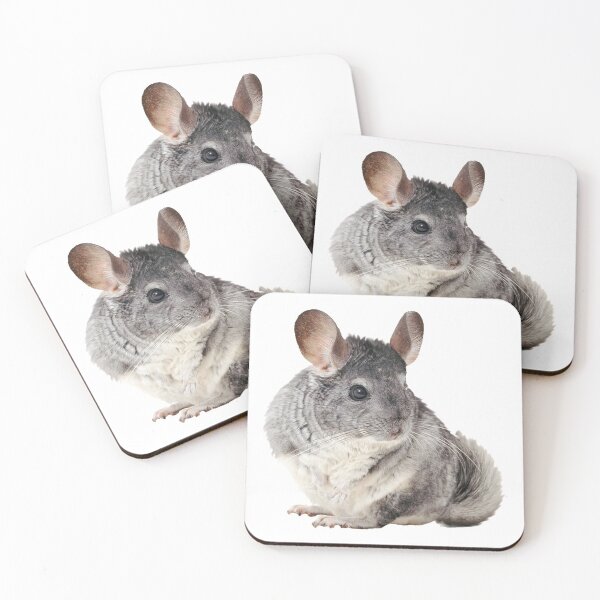 Item preview, Chinchilla designed and sold by DoodleDashCollective.