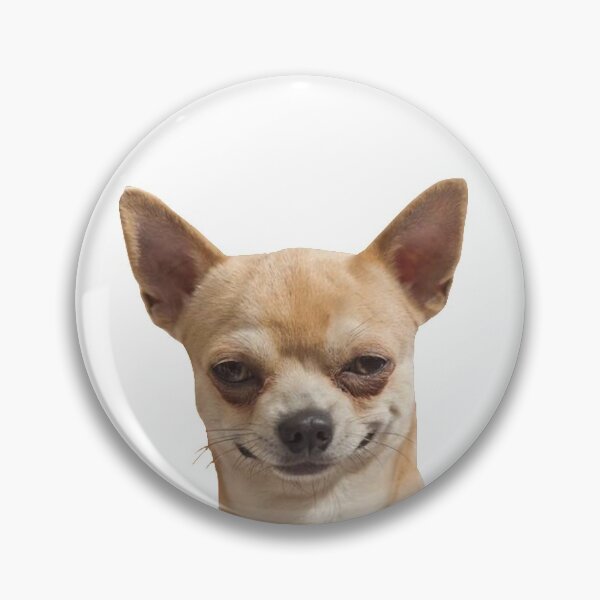 Item preview, Funny Chihuahua designed and sold by DoodleDashCollective.