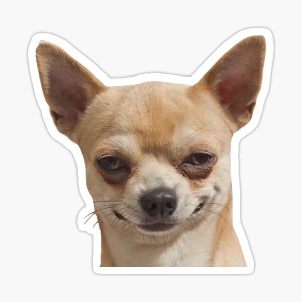 Item preview, Funny Chihuahua designed and sold by DoodleDashCollective.
