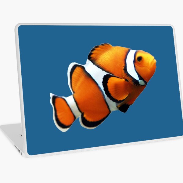 clownfish for mac